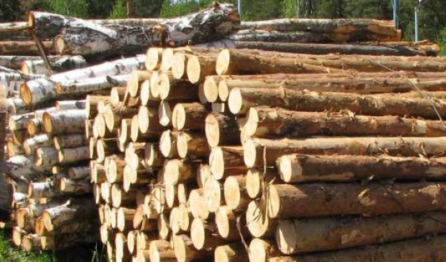 Лицензия на экспорт лесоматериалов